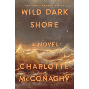 Wild Dark Shore (ISBN: 9781250828019)