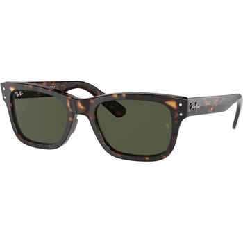 Ray-Ban RB2283 902/31