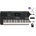 Yamaha PSR-E483 Set