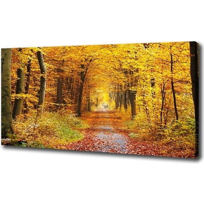Foto obraz na plátne Jesenný les 100x50 cm