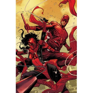 Daredevil By Chip Zdarsky: To Heaven Through Hell Vol. 4 | Chip Zdarsky, Marvel Various (ISBN: 9781302950057)