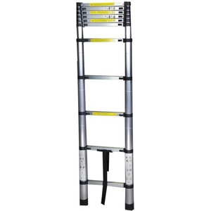 Bisonte STR1032 11 step (BT1006285)