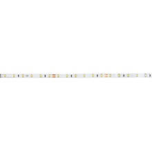 Brumberg 38202004