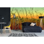 DIMEX ART Самозалепваща се флизелинова фототапета плевели 375 x 250 см