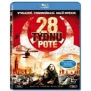 28 týdnů poté BD