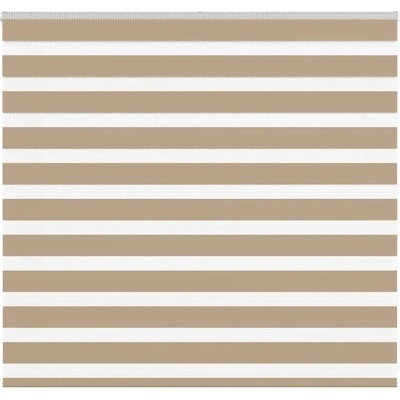 VidaXL Roleta zebra, 165 x 100 cm