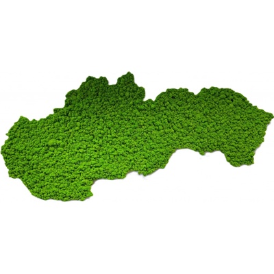 Mechový obraz – mapa Slovenska Velikost: 150 x 75cm