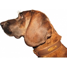 Niggeloh obojek Collar Individual kůže neopren