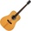 Pasadena PD-350 Natural Gloss Акустична китара
