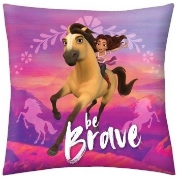 Halantex vankúš Spirit 40x40