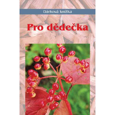 Pro dědečka - Miroslava Kotrbová