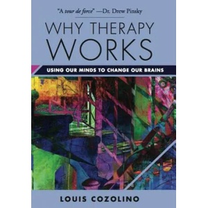 Why Therapy Works | Louis J. Cozolino (ISBN: 9780393709056)