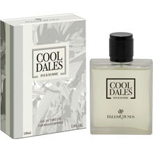 Dales & Dunes Cool Dales toaletní voda pánská 100 ml