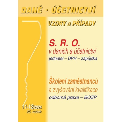 Daně, účetnictví, vzory a případy