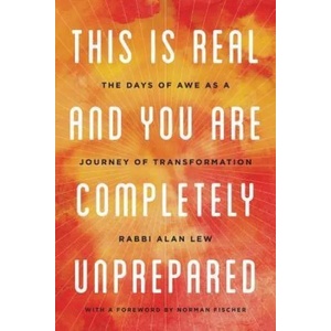 This Is Real and You Are Completely Unprepared (ISBN: 9780316830201)