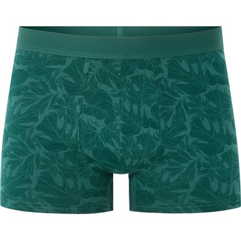 Celio Боксерки Nibovegeta Celio | Zelen | МЪЖЕ | S