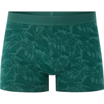 Celio Боксерки Nibovegeta Celio | Zelen | МЪЖЕ | S