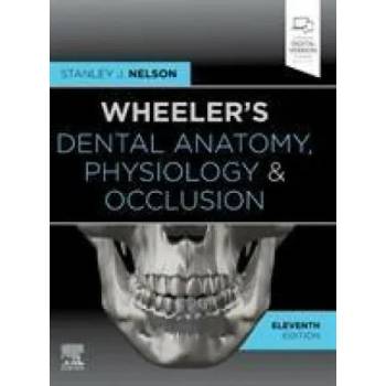 Image 1 of Wheeler's Dental Anatomy, Physiology and Occlusion | Stanley J. Nelson