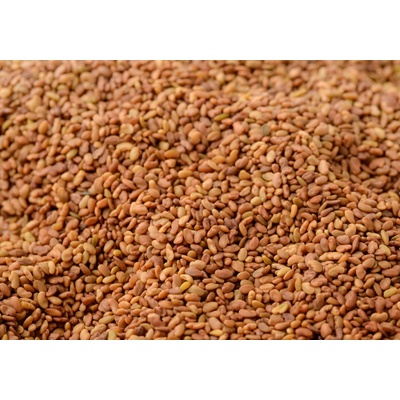 Les Fruits du Paradis Alfalfa semínka BIO 3000 g