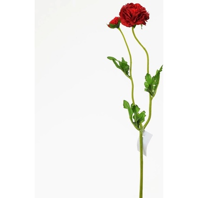 AKCIA! KS RANUNCULUS ČERVENÝ KS 39CM