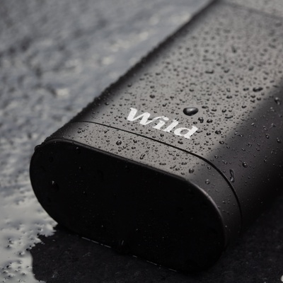 WILD Black Fresh Cotton & Sea Salt Деостик, 40 g, мъже