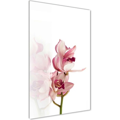 Vertikálny foto obraz sklo tvrdené Ružová orchidea 50x100 cm