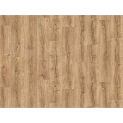 IVC Belgium Greenline New 2021 Rioja 532 2 m 1 m²