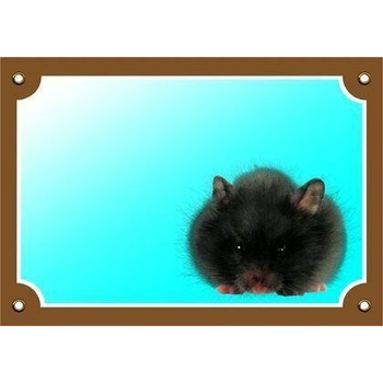 DAFIKO Barevná cedulka Pozor Křeček