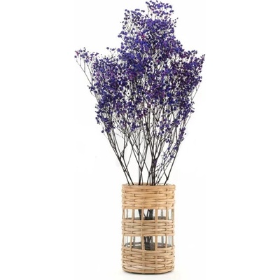 Stabilizované kvety Gypsophila - purple