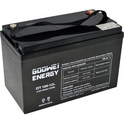 GOOWEI ENERGY 12V/100Ah OTL100-12