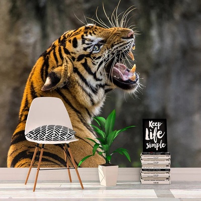 Sablio Tapeta Revúci tiger, rozmery 336x220 cm