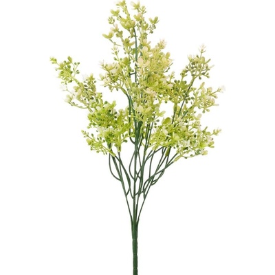 ZELEŇ WAXFLOWER BIELY 44CM