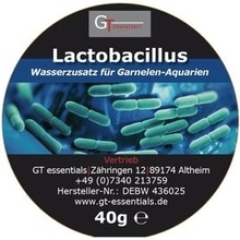 GT essentials Lactobacillus 4 g