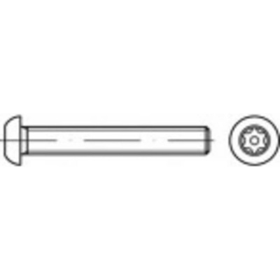 TOOLCRAFT TO-5380206 bezpečnostní šrouby M5 40 mm vnitřní korunka šestihranná 88116 nerezová ocel A2 100 ks – Sleviste.cz