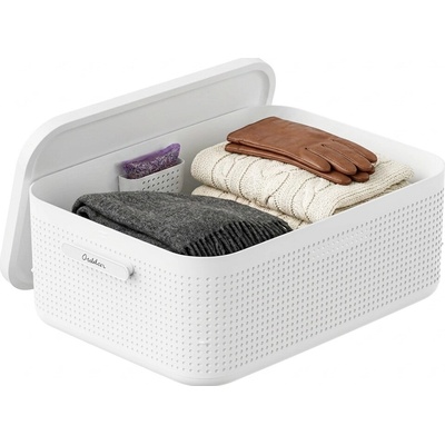 Rotho Úložný box do skříně s víkem a přihrádkou na levanduli, šatní organizér LISORA M, 50 × 35,6 × 18 cm