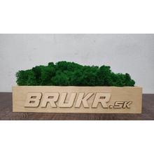 Stabilizovaný mach - Nórsky lišajník - nature green ( zelený ) 2kg