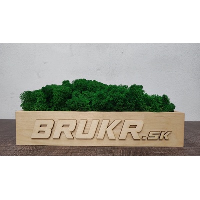Stabilizovaný mach - Nórsky lišajník - nature green ( zelený ) 25Kg