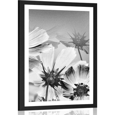 Plakát s paspartou zahradní květiny v černobílém provedení - 40x60 silver