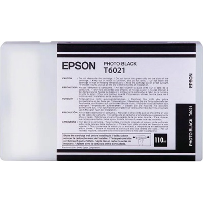 Epson T6021