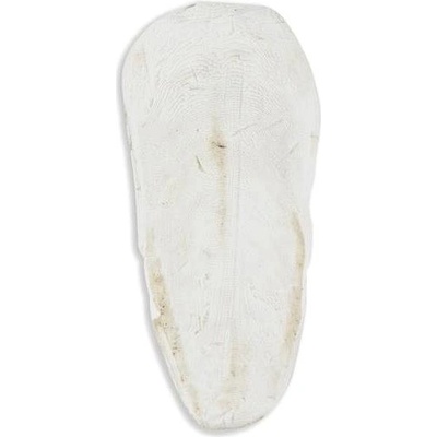 Akinu Sépiová kost volně 15-20 cm 1 kg