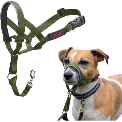 Company of Animals Halti Headcollar