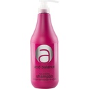 Stapiz Acid Balance Acidifying Shampoo šampón na poškozené barvené vlasy 1000 ml