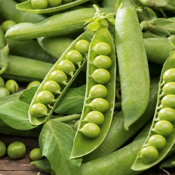 Hrach a bôb, semená 40 g