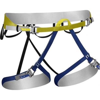 Salewa Ortles