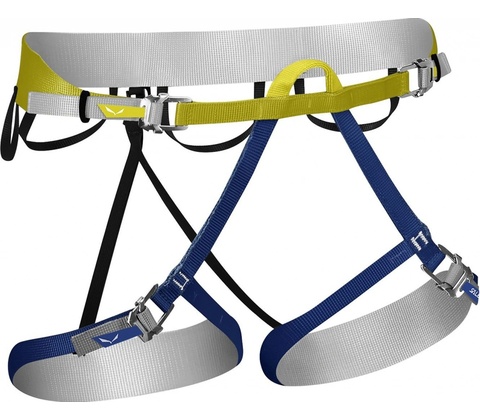 Salewa Ortles