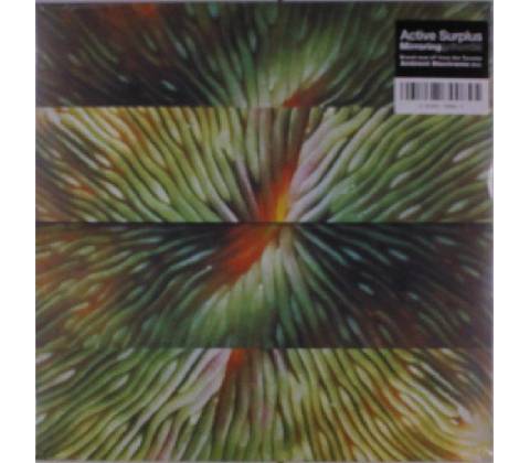 ACTIVE SURPLUS - MIRRORING LP