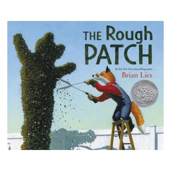 Rough Patch | Brian Lies