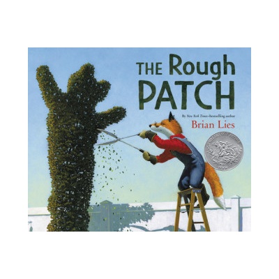 Rough Patch | Brian Lies