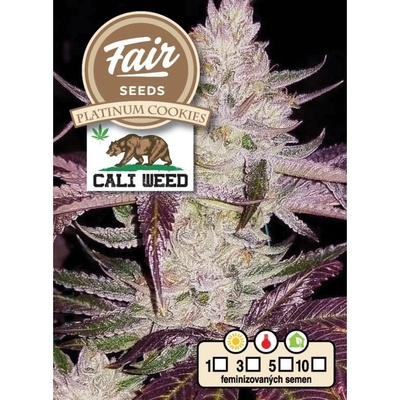 Fair Seeds Platinum Cookies semena neobsahují THC 10 ks