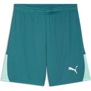 PUMA Teamliga 26 shorts s